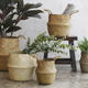 Qliwa Seagrass Baskets